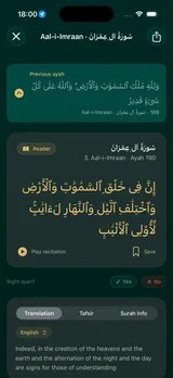 The identified ayah, shown with the previous ayah, recitation playback, and translation.